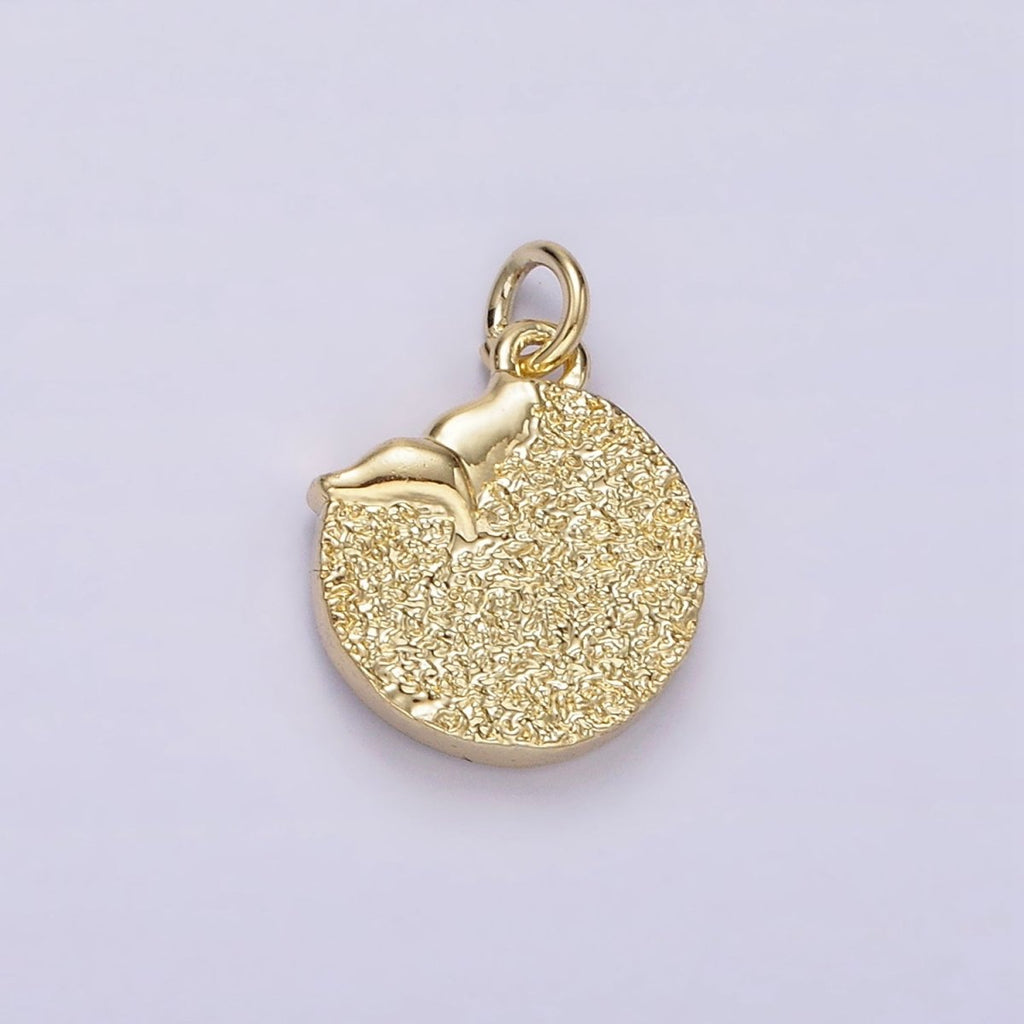 14K Gold plated Night Star Mermaid Ocean Animal Tail Hammered Round Charm | AC904 - DLUXCA
