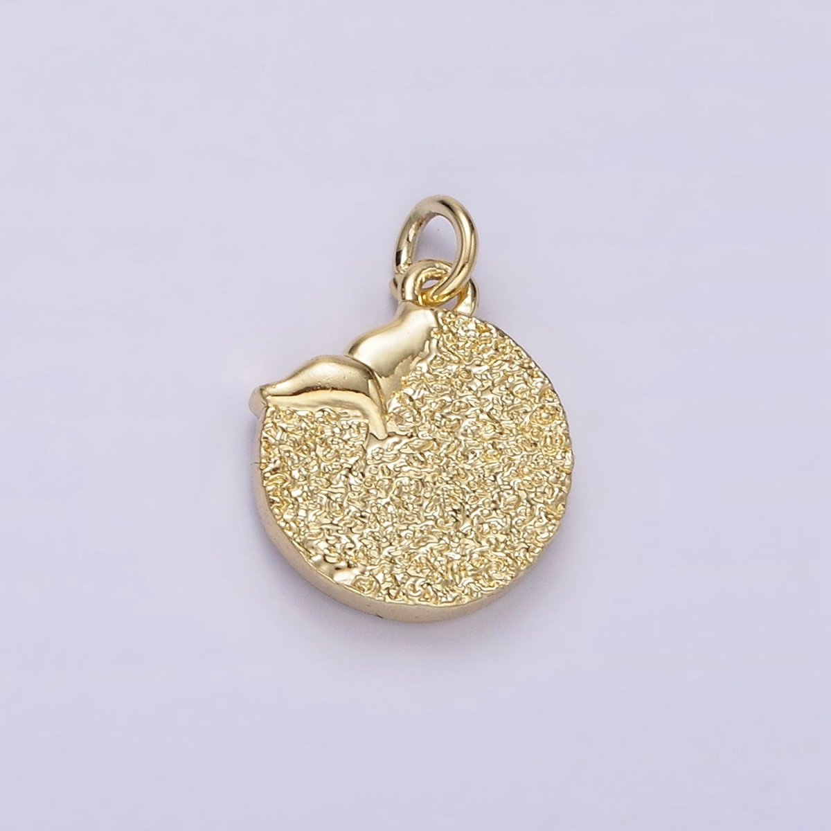 14K Gold plated Night Star Mermaid Ocean Animal Tail Hammered Round Charm | AC904 - DLUXCA