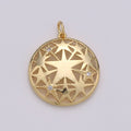 24k Gold plated Micro Pave Star Charm, Cubic Zirconia Medallion Pendant Charm, Gold plated Charm, For DIY Jewelry D-437 - DLUXCA