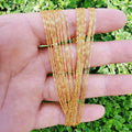 24K Gold plated Necklace - Dainty 2mm Singapore Necklace - 17.6 Inches Gold Singapore Chain Layering Necklace w/ Spring Rings | CN-862