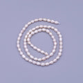 4mm Oval Freshwater Pearl Strand Jewelry Making Finding Supply | WA-1663 Clearance Pricing - DLUXCA