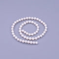 6.5mm Freshwater Pearl Round 60 Pieces/Strand Jewelry Making Findings Supply | WA-1667 - DLUXCA