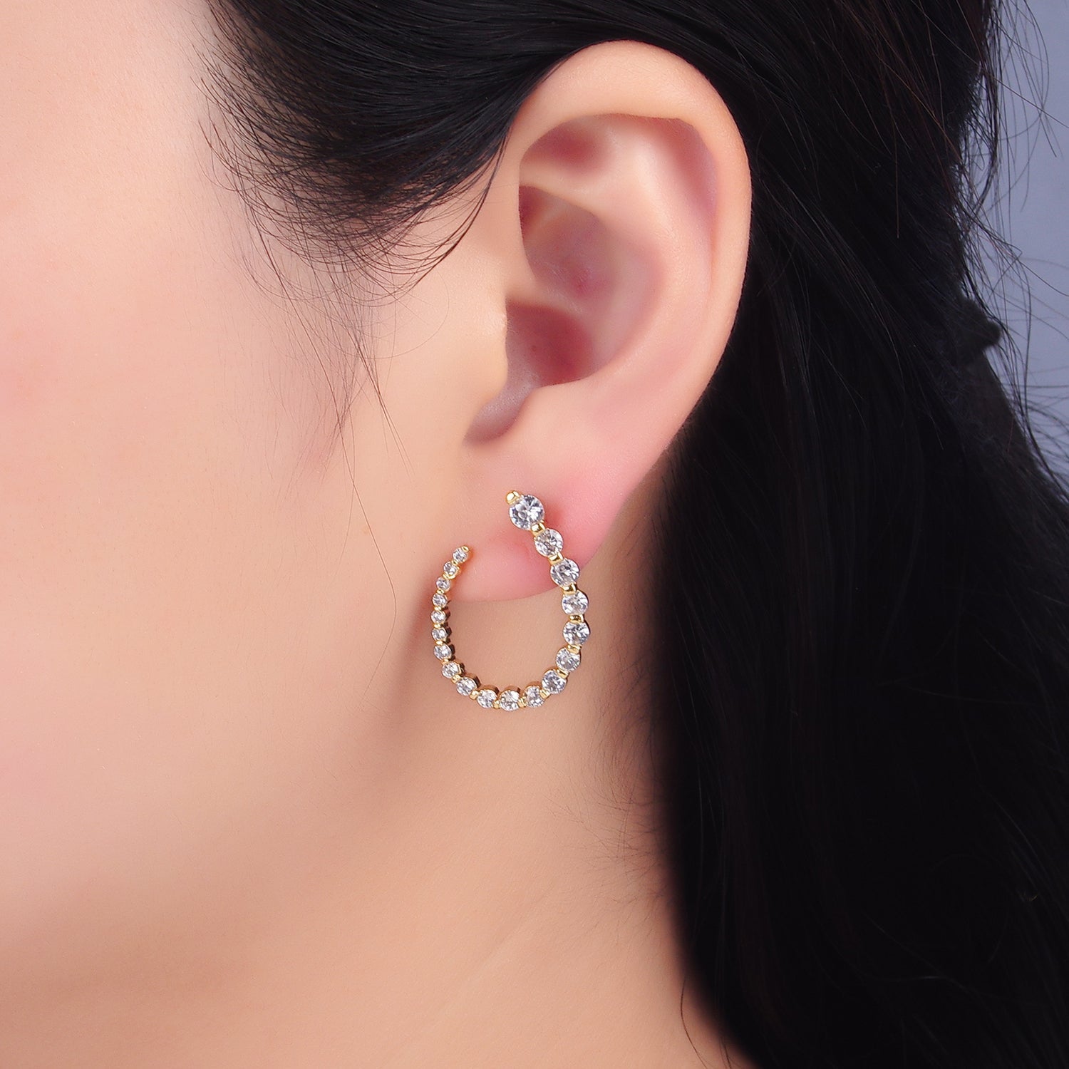 24K Gold plated CZ Circular U-Shaped Horseshoe Earrings Set | AB873