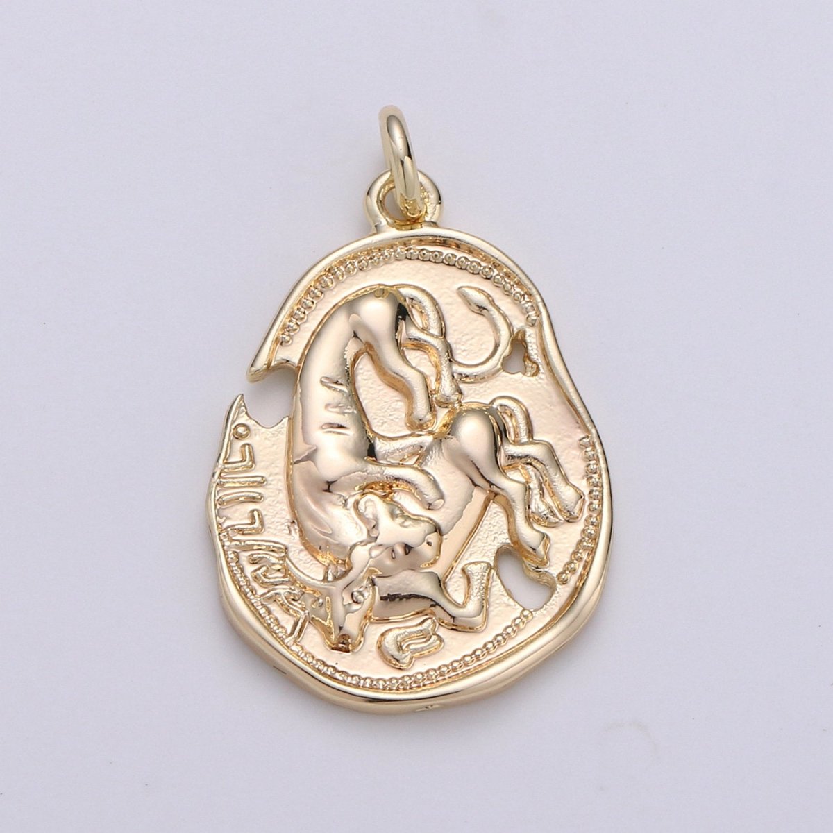 Dainty 14k Gold plated Rustic Coin Charm Vintage Medallion for Bracelet Necklace Pendant Earring Findings for Jewelry Making D-404 - DLUXCA