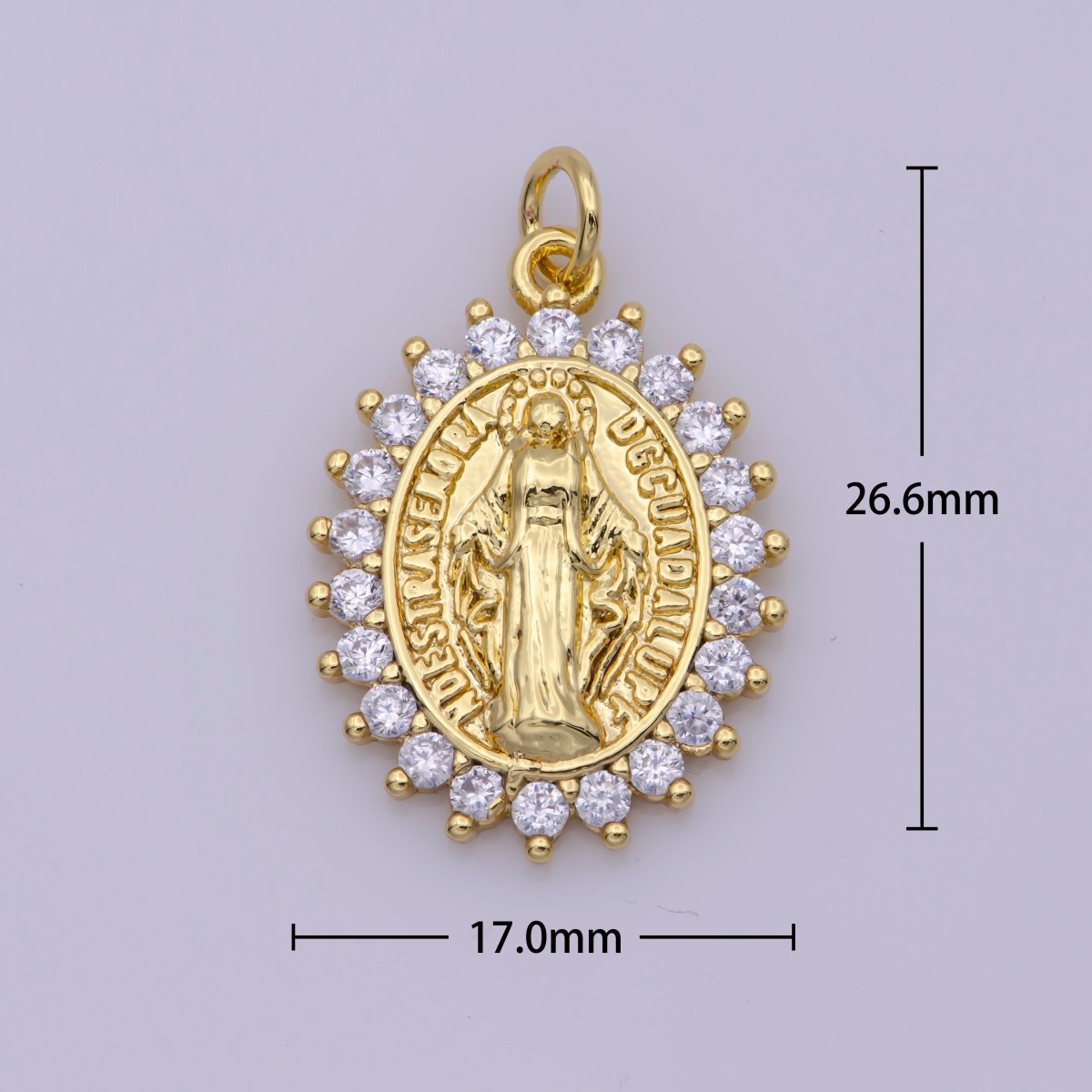 Gold plated "Nuestra Senora Guadalupe" Miraculous Lady Oval CZ Charm in Gold & Silver | M-486 N-188 - DLUXCA