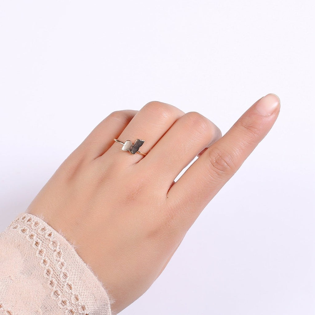 Gold Flake Gold plated Adjustable Ring R-244 - DLUXCA
